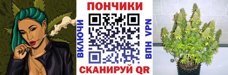 это наркотические препараты  Волжск  Бошки марихуана марихуана 